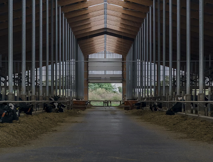 Покрытия для животноводческих помещений